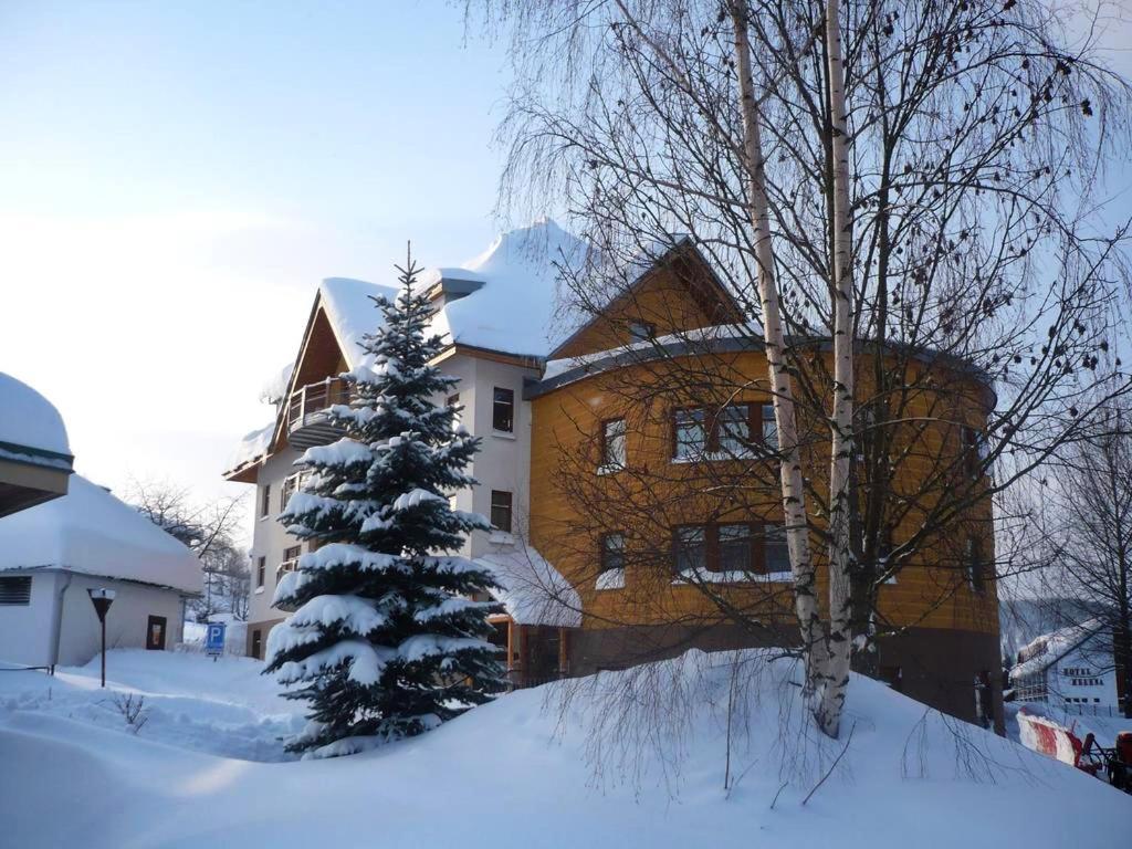 Apartman Modra Hvezda Rokytnice nad Jizerou Exterior foto